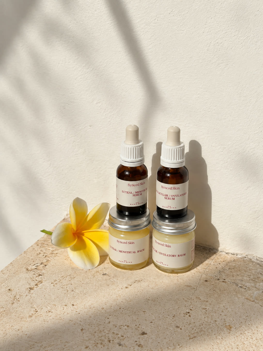 Synced Skin Mini Starter Kit with two face serums and two tallow balms