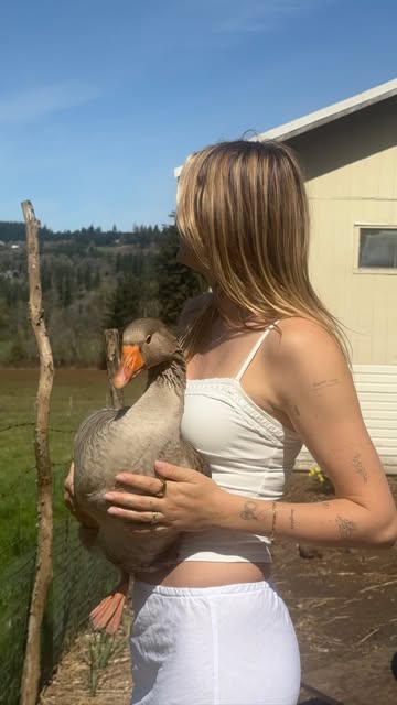 A woman holding a goose on a farm